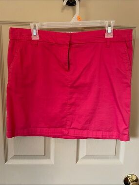 Cambridge Dry Goods Bright Pink Mini Skirt